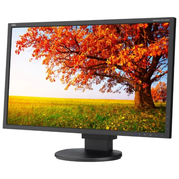 Монитор NEC MultiSync EA224WMi Black/Black